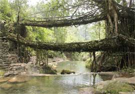 meghalaya